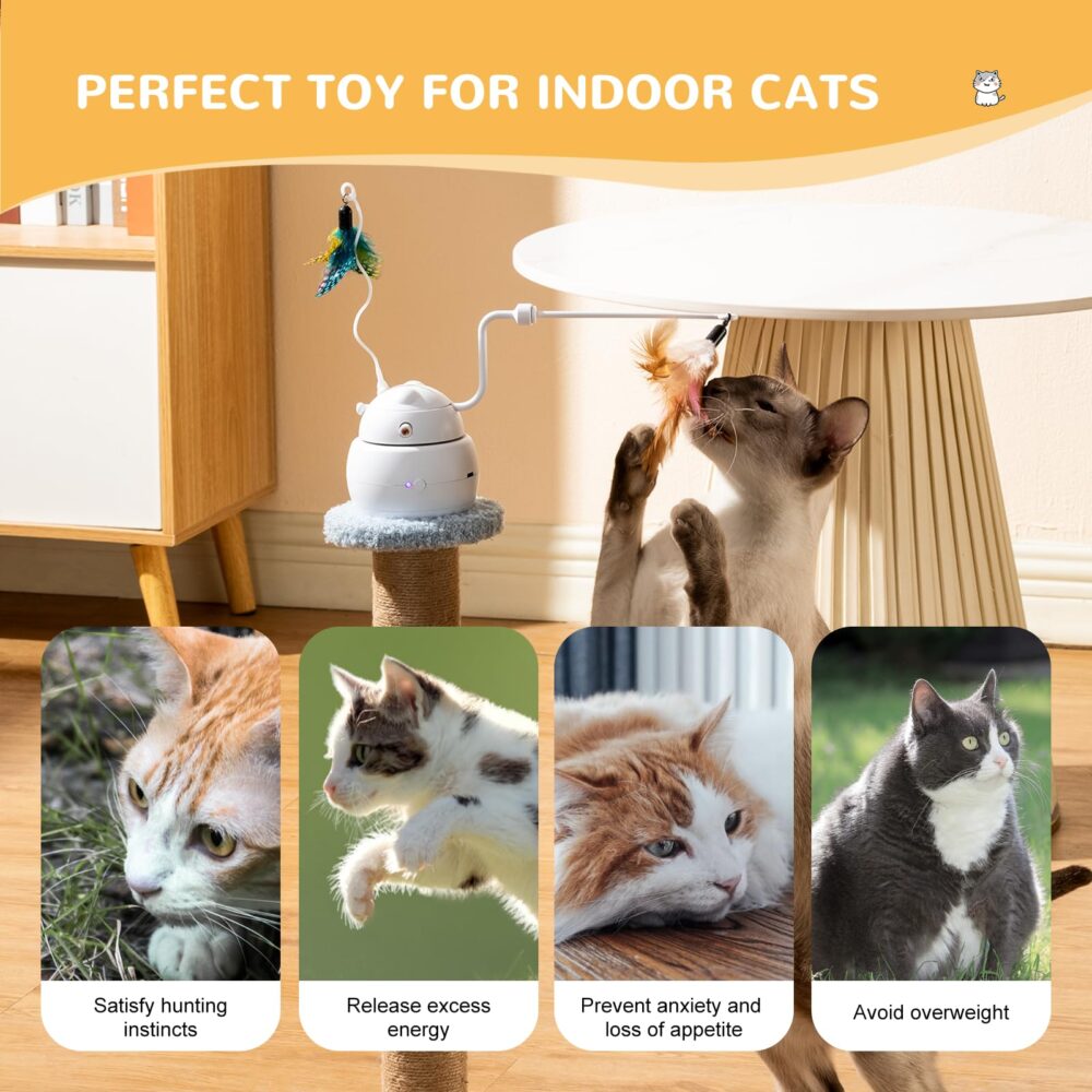 6541  Automatic interactive Cat toy, 4-in-1 rechargeable cat Laser toy for indoor,2 feathers and lid, Hide and Seek cat toy for cat exercise and relief from boredom (white) #JL01-USA-298-W - Image 5