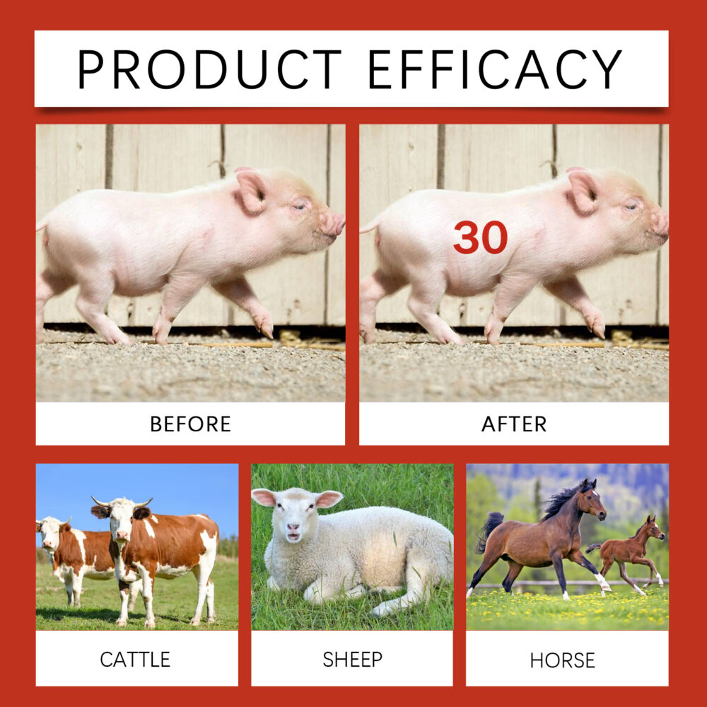 Livestock marker crayons Lubricated and durable clearly distinguishable Marker pens Livestock classification crayons #JL04-JH-C09-0038-01 - Image 10