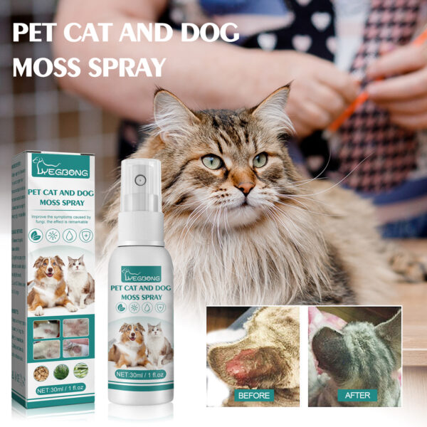 Pet skin medicine spray cats and dogs universal to mite skin itching off red hair to itch #WM-YE122211111-30ml