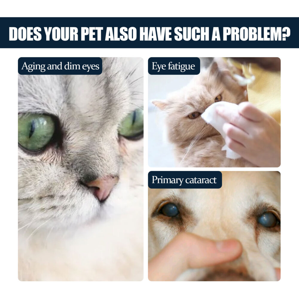 Pet Eye Drops Clean eye drops for dogs and cats to relieve itchy eyes from tears #JL04-YE122302171-10ml - Image 7