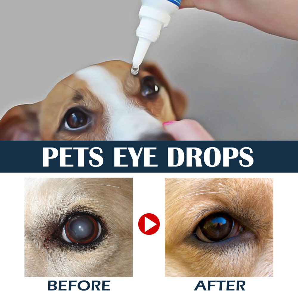 Pet Eye Drops Clean eye drops for dogs and cats to relieve itchy eyes from tears #JL04-YE122302171-10ml - Image 8