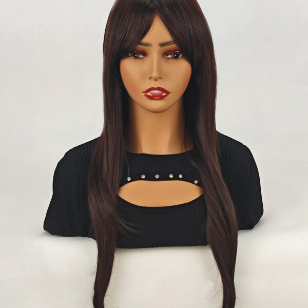 6541  Natural Wigs，Long Straight Wig with Bangs Hair Wigs ，Heat Resistant Synthetic Womens Wig，for Daily Party Use（24 Inch） #JL01-SUE-5-1B/SUE-5-6H - Image 14