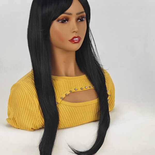 6541  Natural Wigs，Long Straight Wig with Bangs Hair Wigs ，Heat Resistant Synthetic Womens Wig，for Daily Party Use（24 Inch） #JL01-SUE-5-1B/SUE-5-6H - Image 9