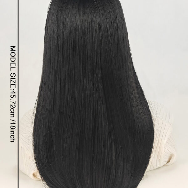6541  18inch Wig，With Bangs Long Wavy Curly，Lace Scalp Wig #JL01-SUE-13-1B/SUE-13-6H - Image 3