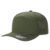 6WP-OLIVE